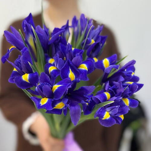 review-photo-before