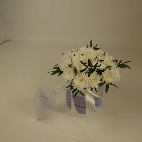 review-photo-before