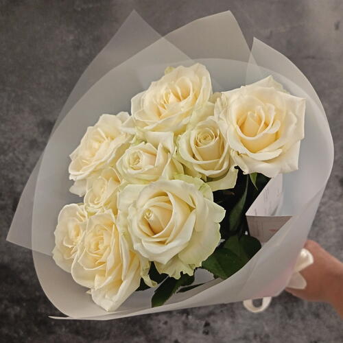 review-photo-before