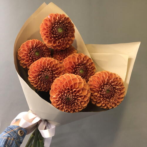 review-photo-before