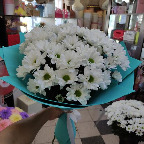review-photo-before