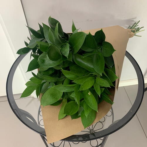 review-photo-before