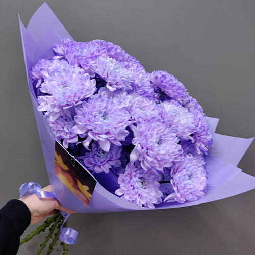 review-photo-before