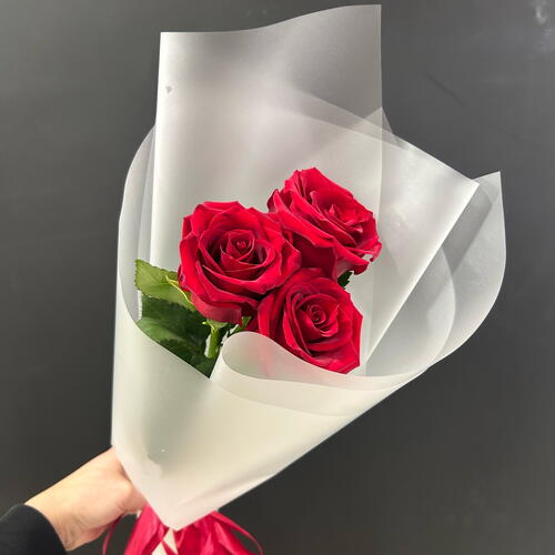 review-photo-before