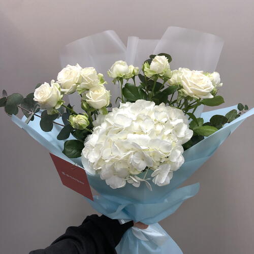 review-photo-before