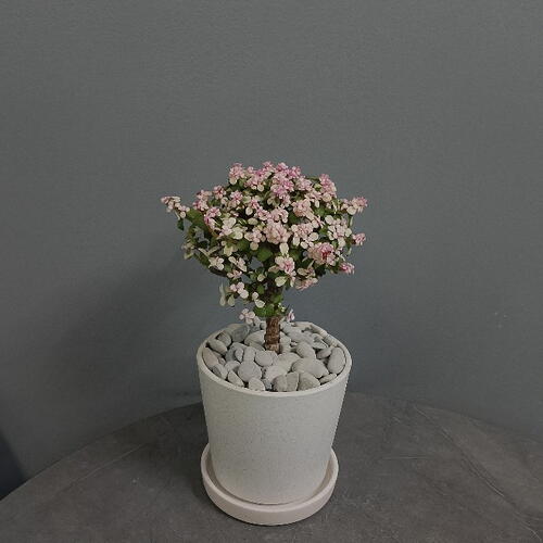 review-photo-before