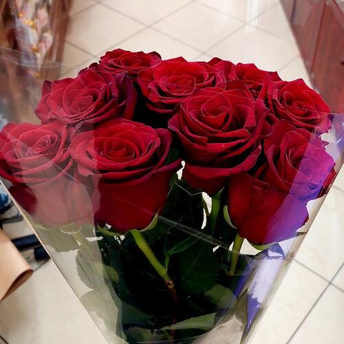 review-photo-before