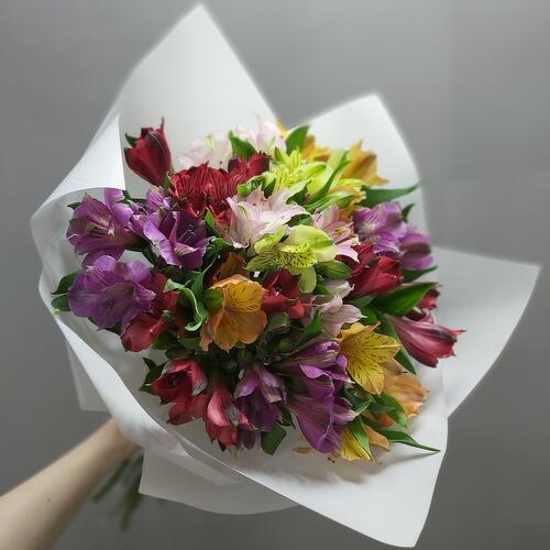 review-photo-before