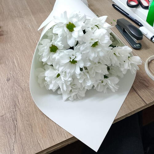 review-photo-before