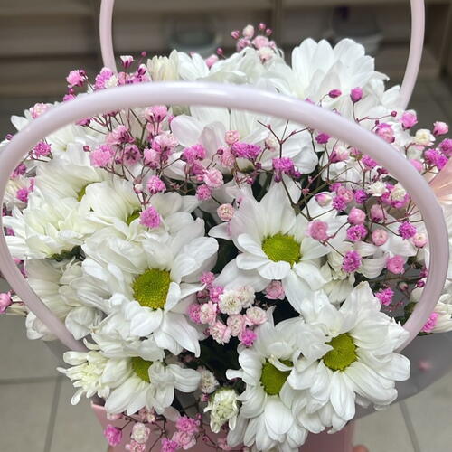review-photo-before