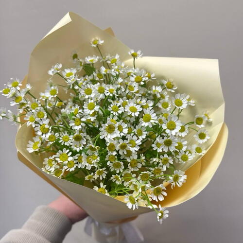 review-photo-before