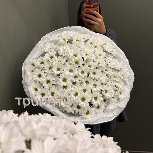 review-photo-before