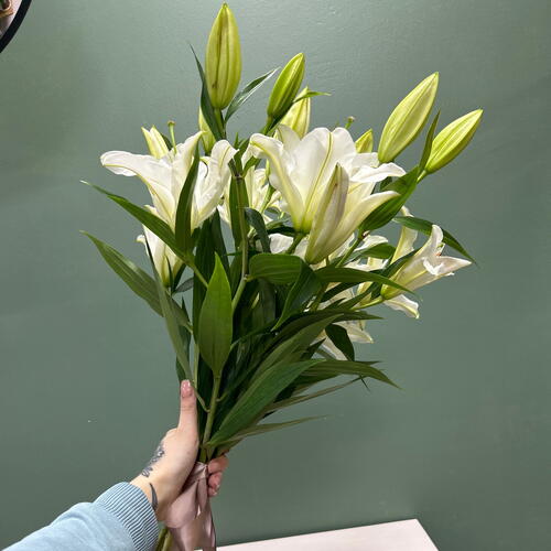 review-photo-before