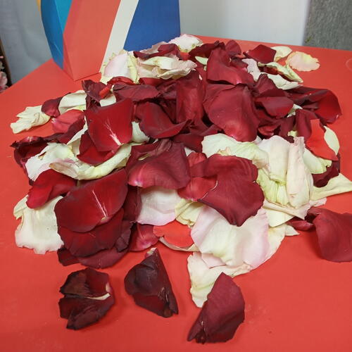 review-photo-before