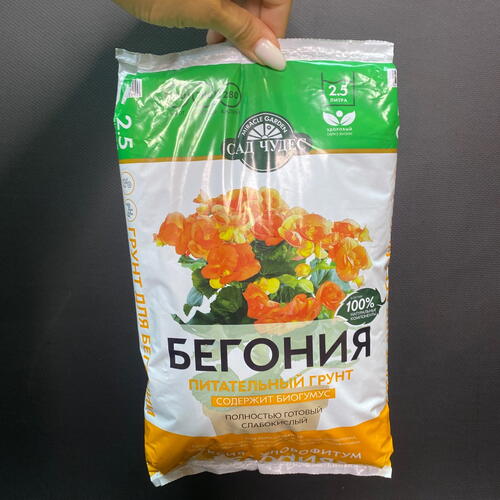 review-photo-before