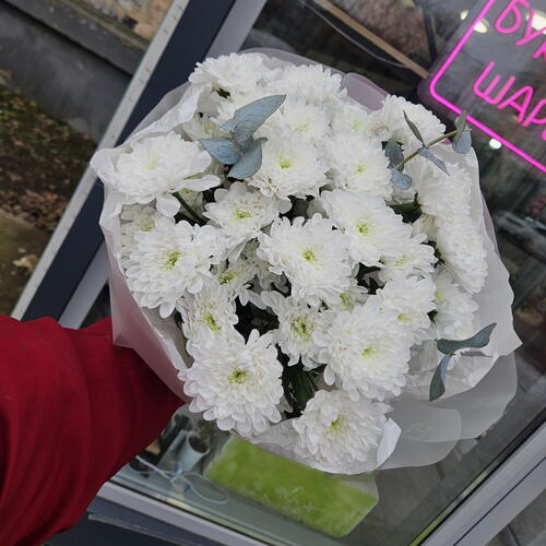 review-photo-before