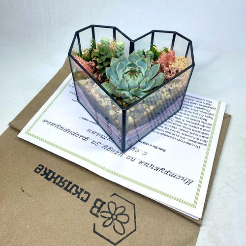 review-photo-before