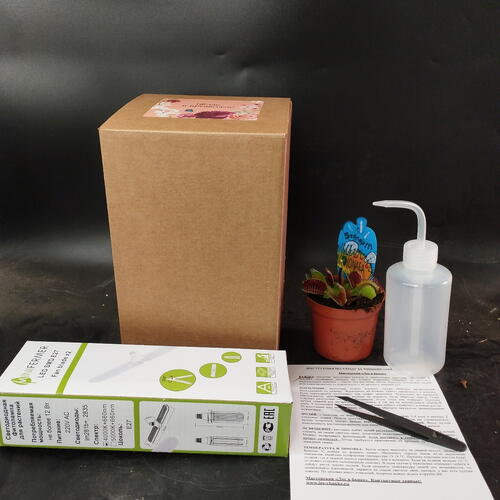 review-photo-before