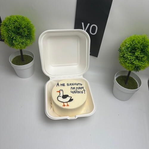 review-photo-before