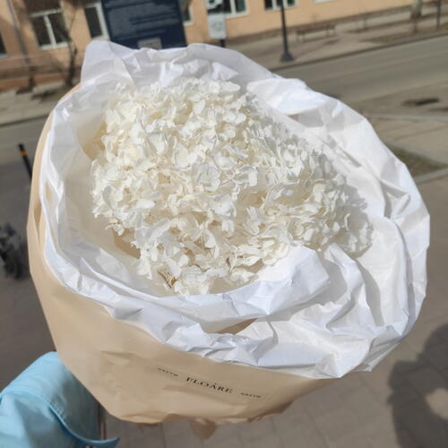 review-photo-before