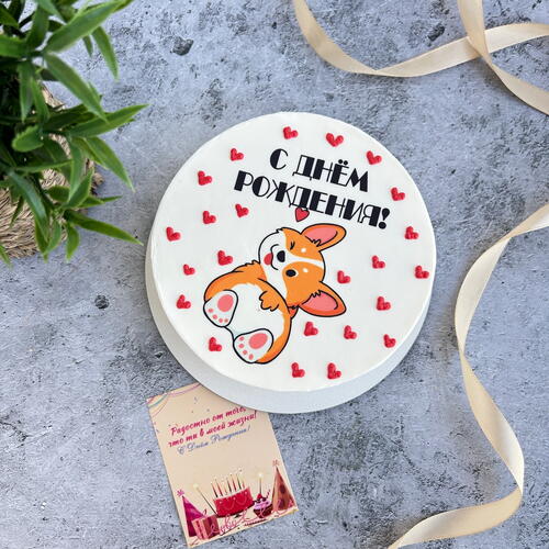 review-photo-before