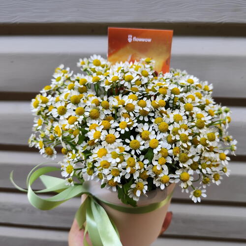 review-photo-before