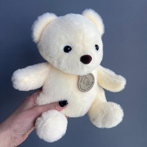 review-photo-before
