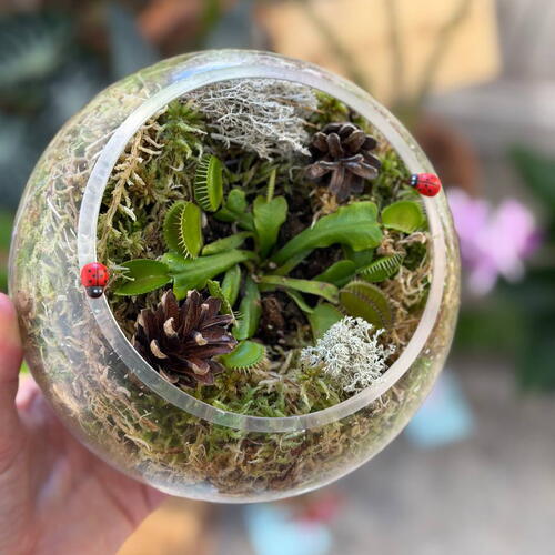 review-photo-before