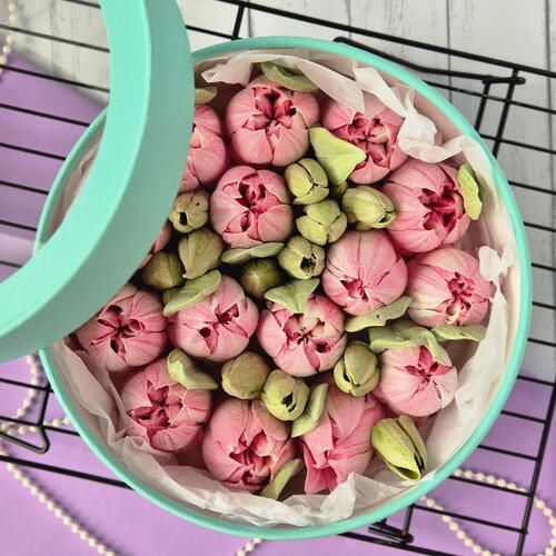 review-photo-before