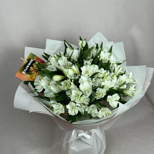 review-photo-before
