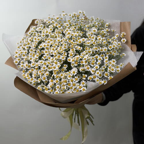 review-photo-before
