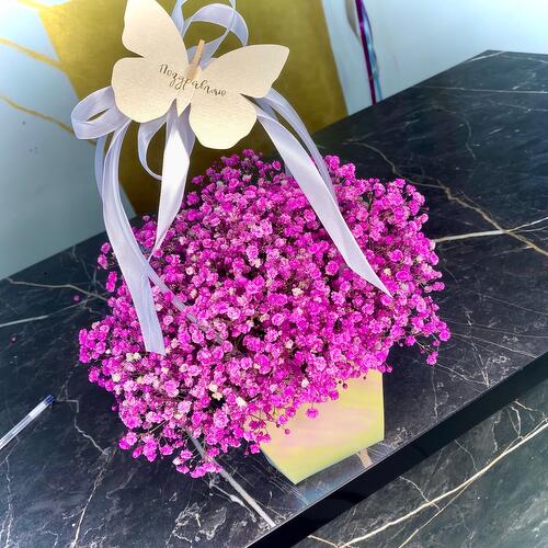 review-photo-before