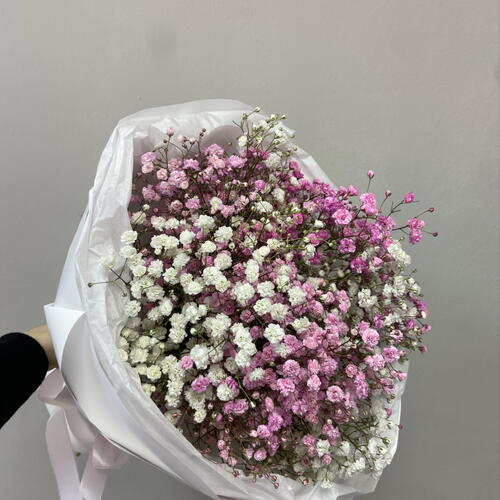review-photo-before