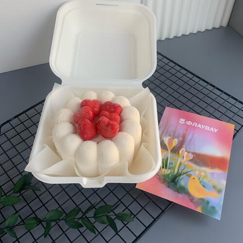 review-photo-before