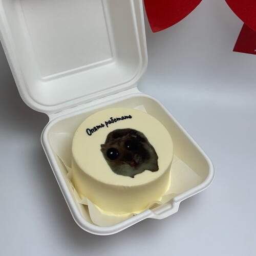 review-photo-before