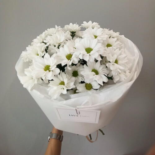 review-photo-before