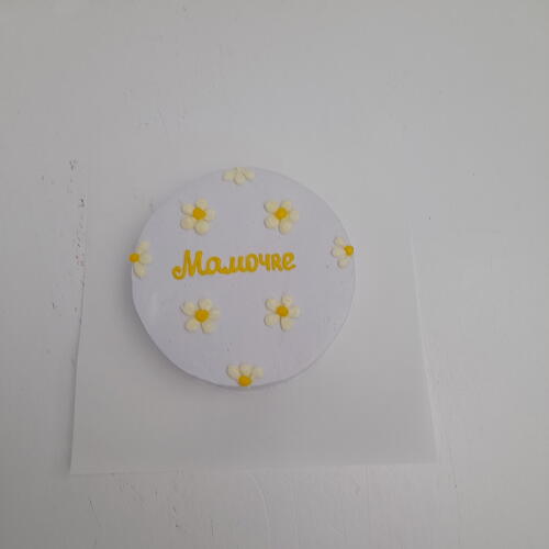 review-photo-before