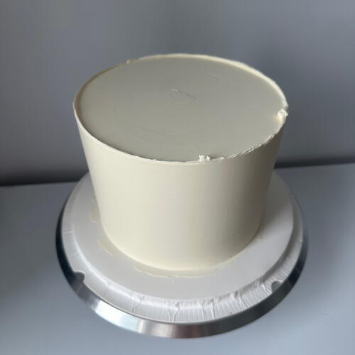 review-photo-before