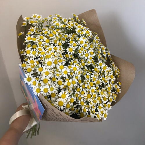 review-photo-before
