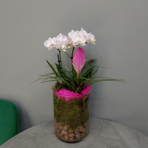 review-photo-before