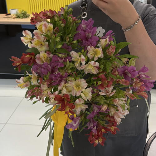review-photo-before