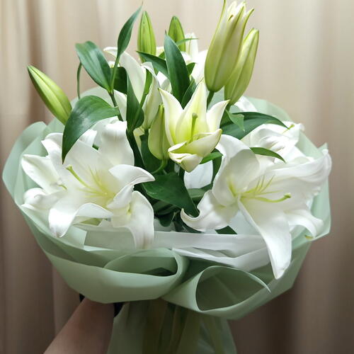 review-photo-before