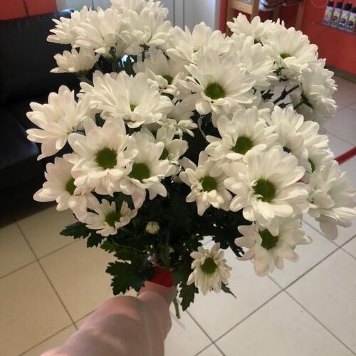 review-photo-before