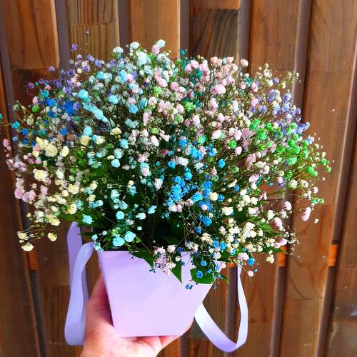 review-photo-before
