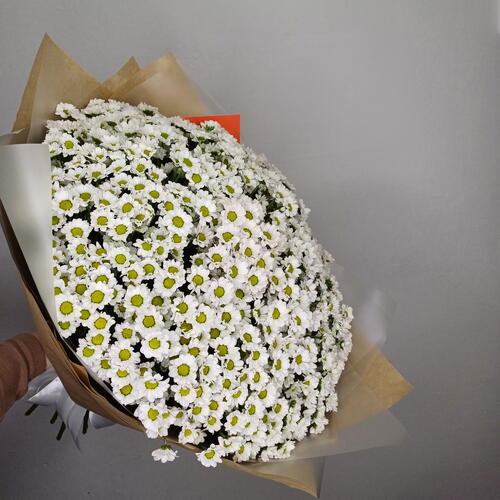 review-photo-before