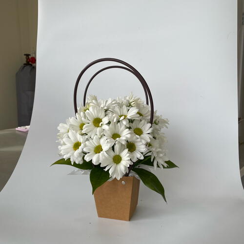 review-photo-before