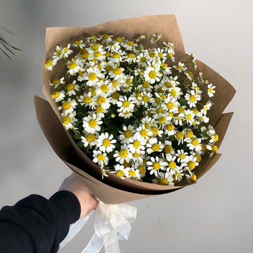 review-photo-before