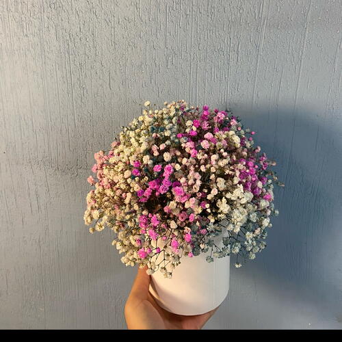 review-photo-before