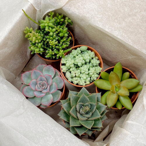 review-photo-before