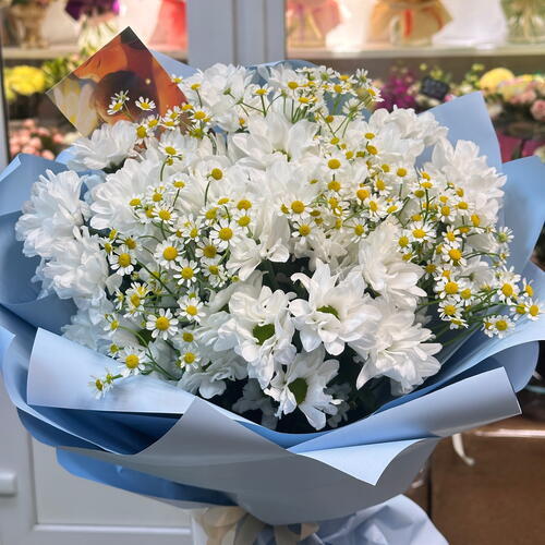 review-photo-before